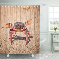 Aquatic Alive Crab Attack Attack Beach Big Claw Shower Curtain