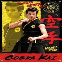 Cobra Kai - Miguel Wall Poster с pushpins, 14.725 22.375