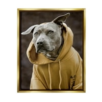 Ступел индустрии усмихнат Лабрадор куче, облечен с качулка Жълт суитчър снимка металик злато плаваща рамка платно печат стена изкуство, дизайн от Майкъл Брайън